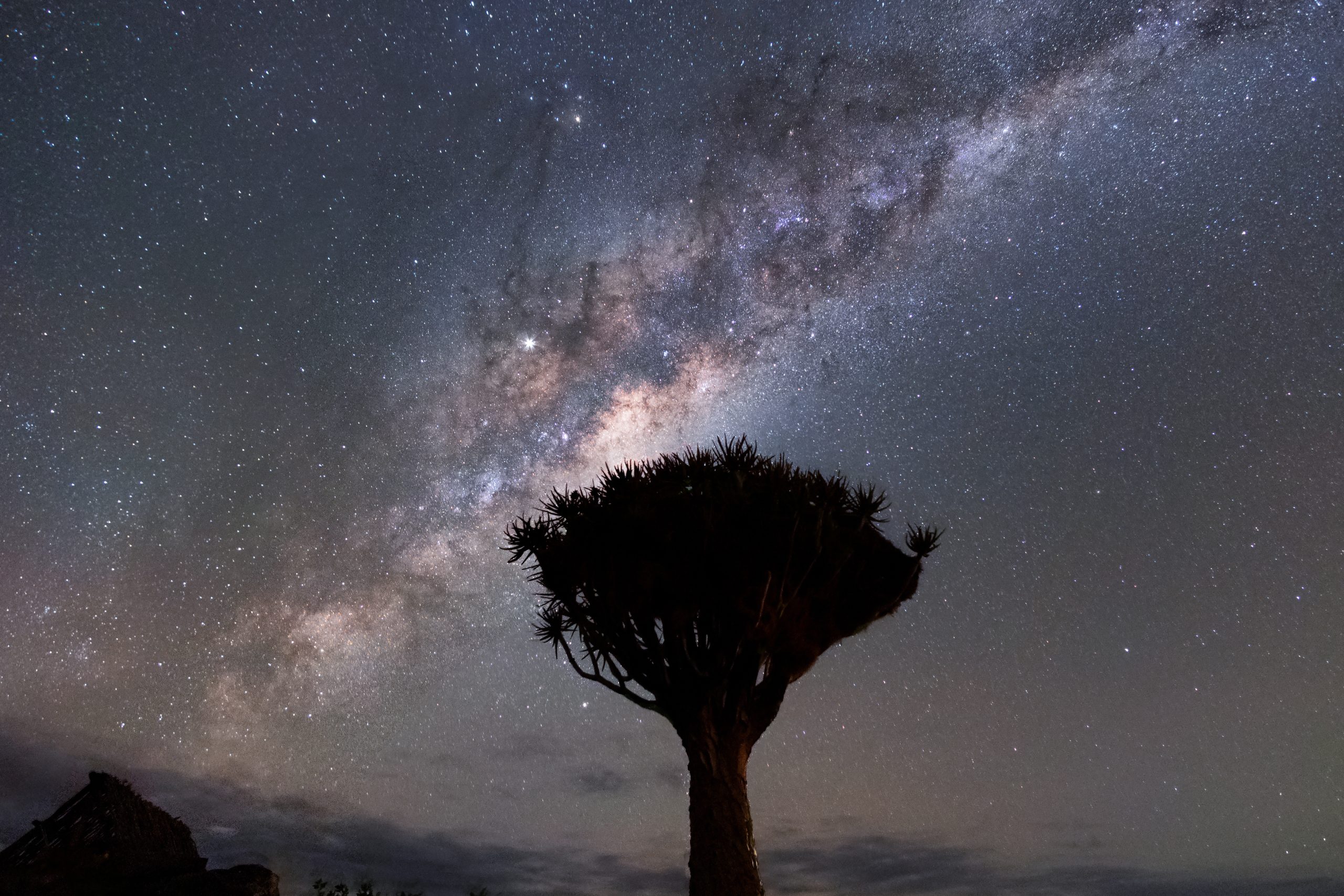 Aligning the constellation: making the legal ecosystem work together